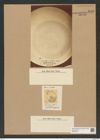 Coscinodiscus patina Ehr. (de-Toni-Nr.: Genus 202, Species 4991) Zeichnungen Sammlung Grunow Nr. 8706 (NHMW-BOT-W0378274)
